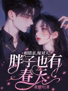 胖子也有春天短剧66