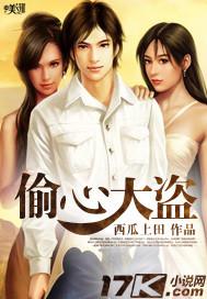偷心大盗2第二部叫什么