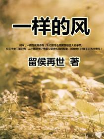 一样的风歌曲暗示什么